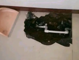 比如卫生间测漏水多少钱